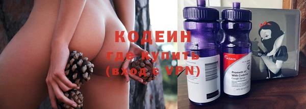 ГАЛЛЮЦИНОГЕННЫЕ ГРИБЫ Абаза