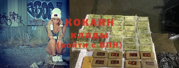 ГАЛЛЮЦИНОГЕННЫЕ ГРИБЫ Абаза