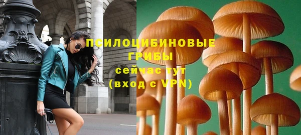 мяу мяу мука Абинск
